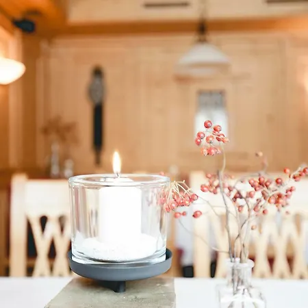 Hotel Schmalzerhof 3*